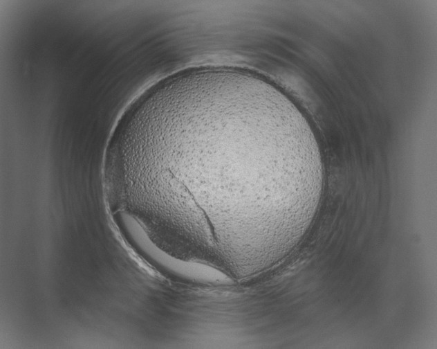 X0000073850990200609071602