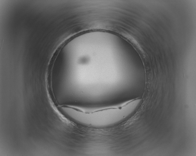 X0000073850991200609071602