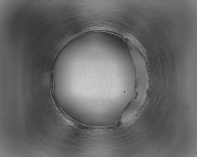 X0000073850993200609071602