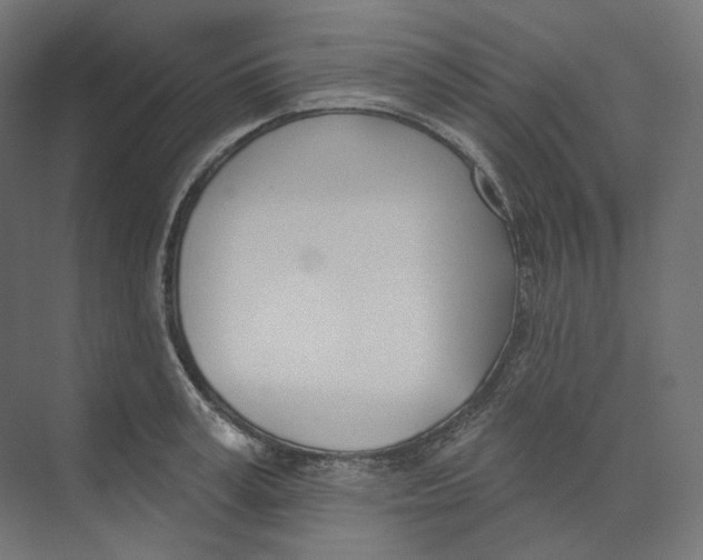 X0000073850995200609071602