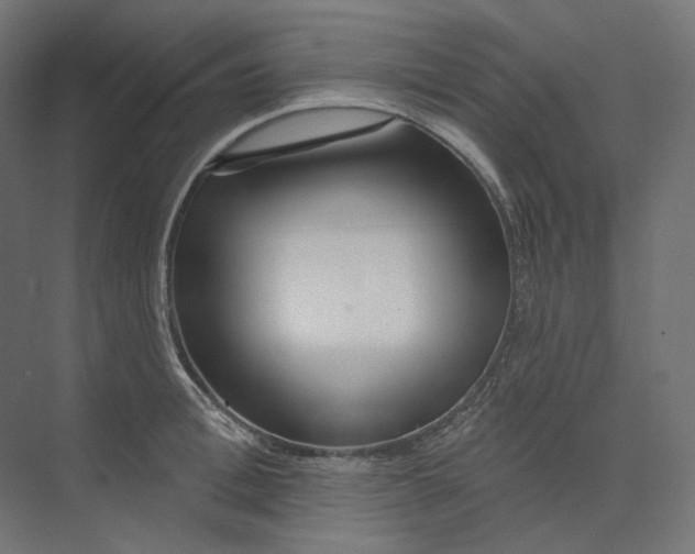 X0000073850996200609071602