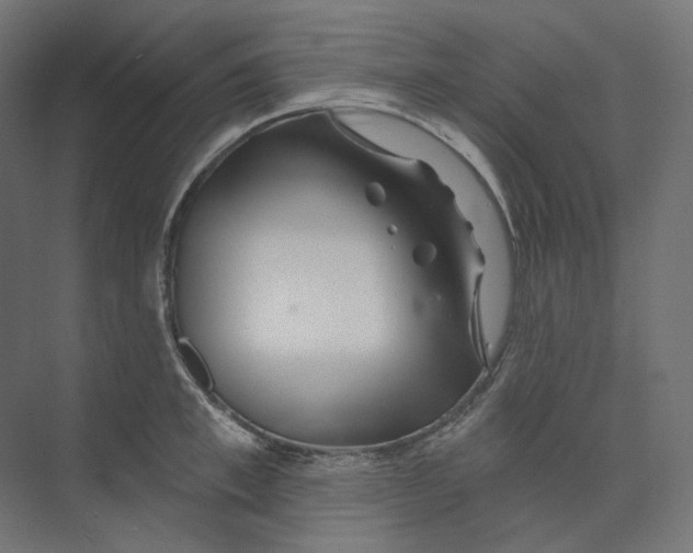 X0000073850997200609071602