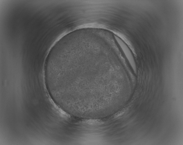 X0000073850998200609071602