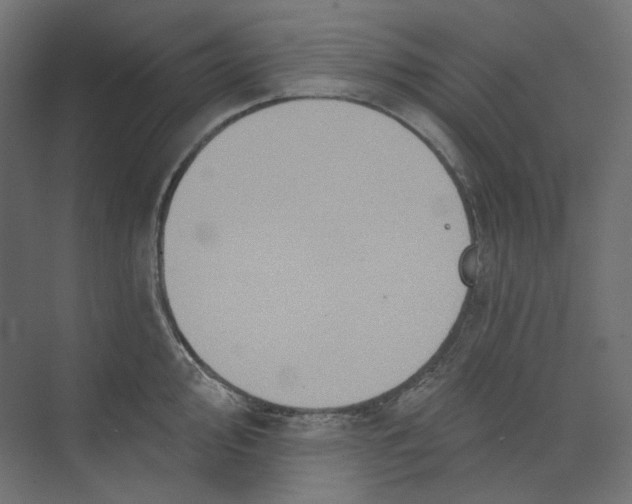 X0000073851000200609071602