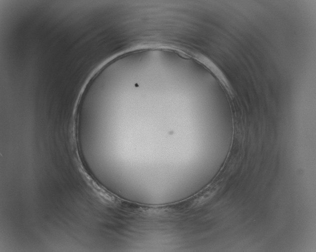 X0000073851004200609071602