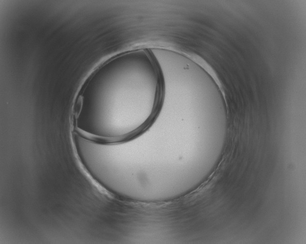 X0000073851005200609071602