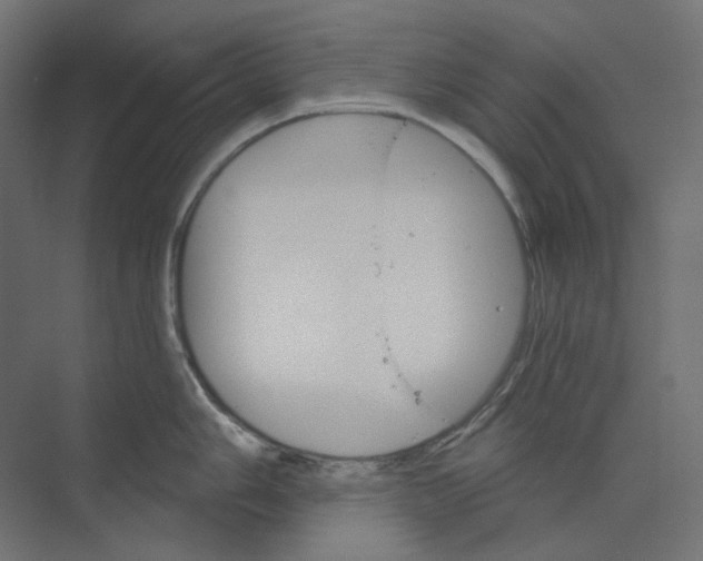 X0000073851006200609071602