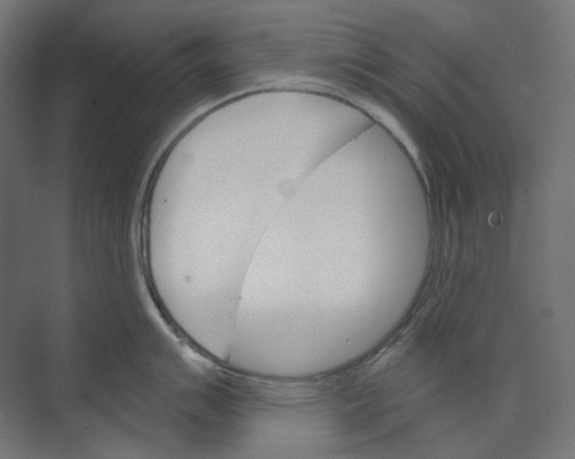 X0000073851007200609071602