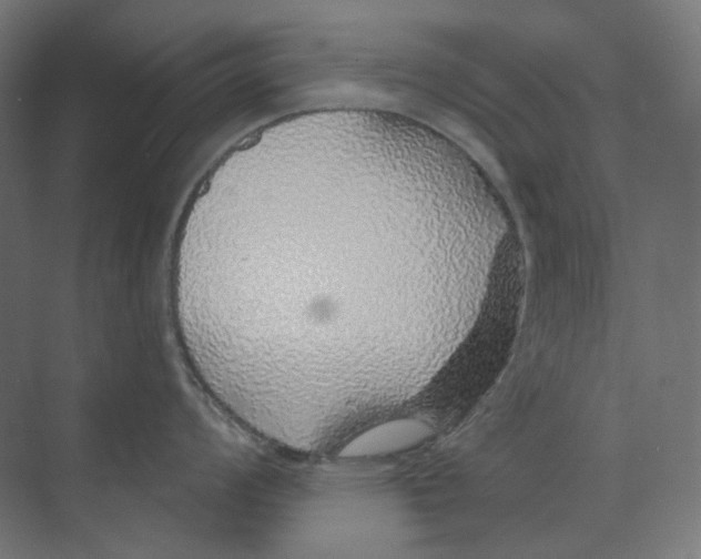 X0000073851008200609071602