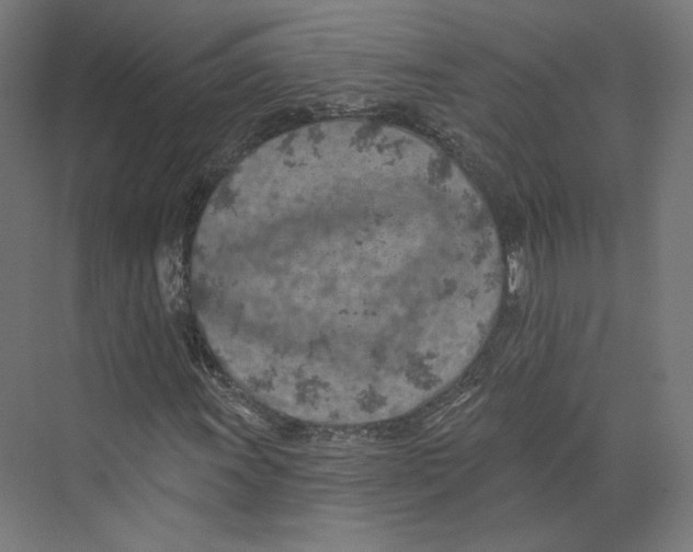 X0000073851011200609071601