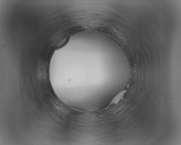 X0000073851012200609071601