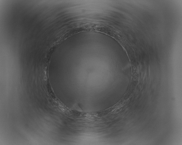 X0000073851013200609071601