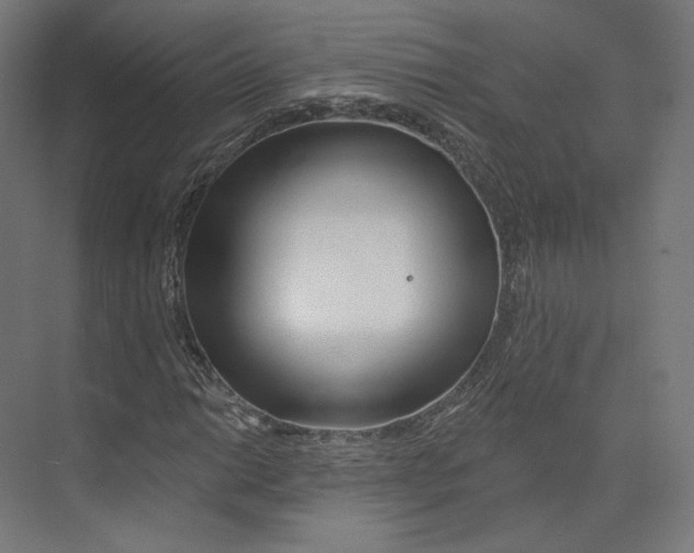 X0000073851014200609071601