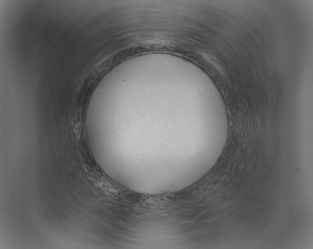 X0000073851015200609071601