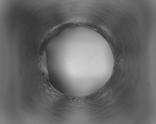 X0000073851016200609071601