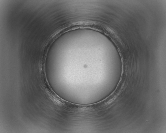 X0000073851017200609071601