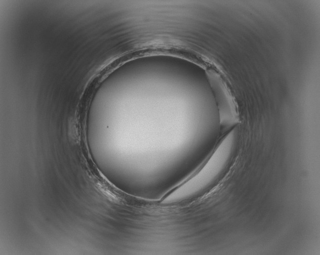 X0000073851018200609071601