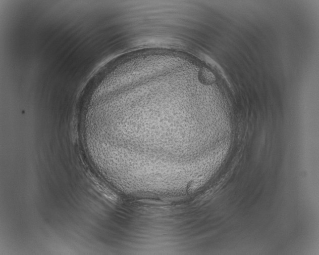 X0000073851019200609071601