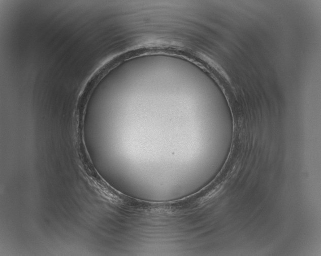 X0000073851021200609071601