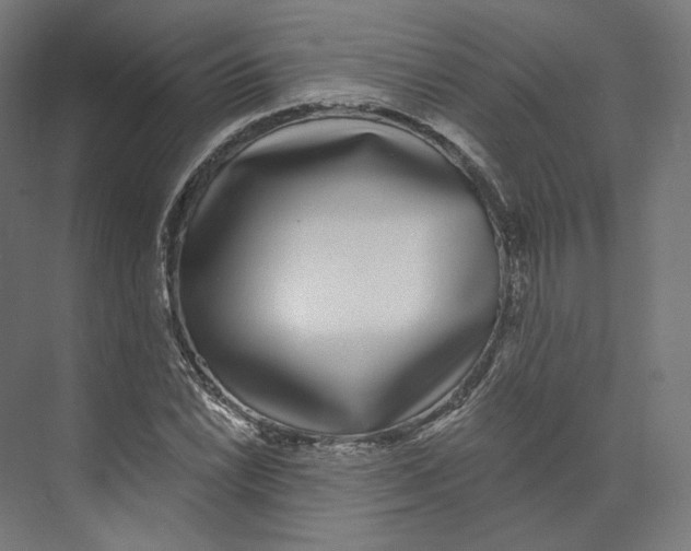 X0000073851022200609071601