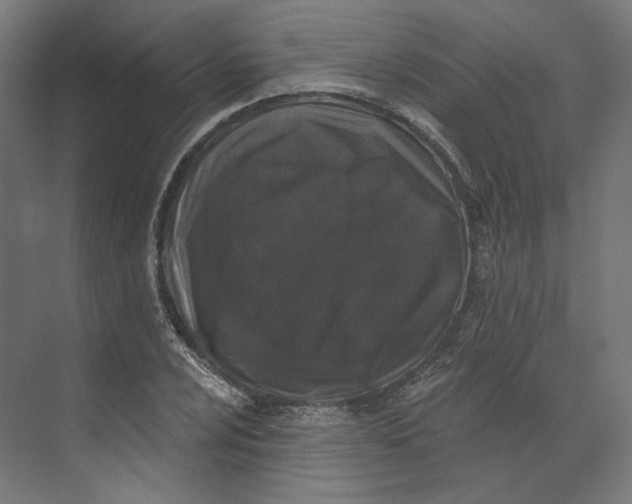 X0000073851024200609071601