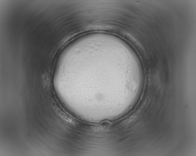 X0000073851025200609071601