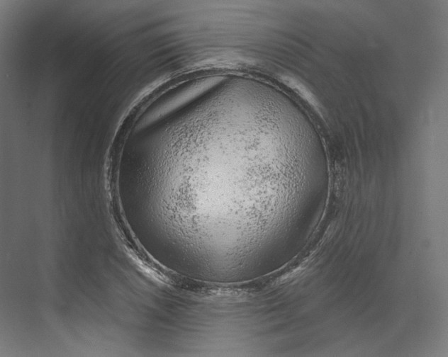 X0000073851026200609071601