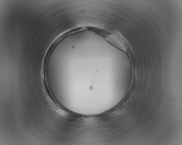 X0000073851028200609071601