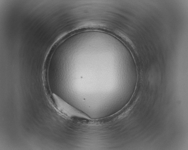 X0000073851029200609071601