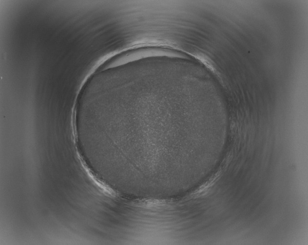 X0000073851030200609071601