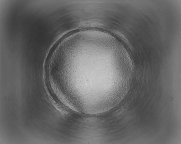 X0000073851031200609071602