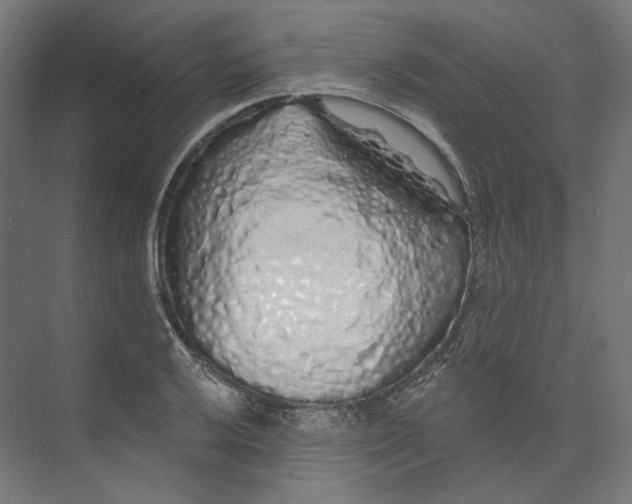 X0000073851032200609071602