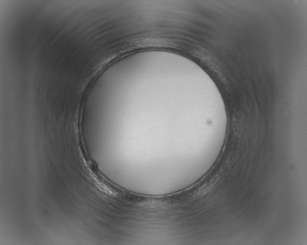 X0000073851033200609071602