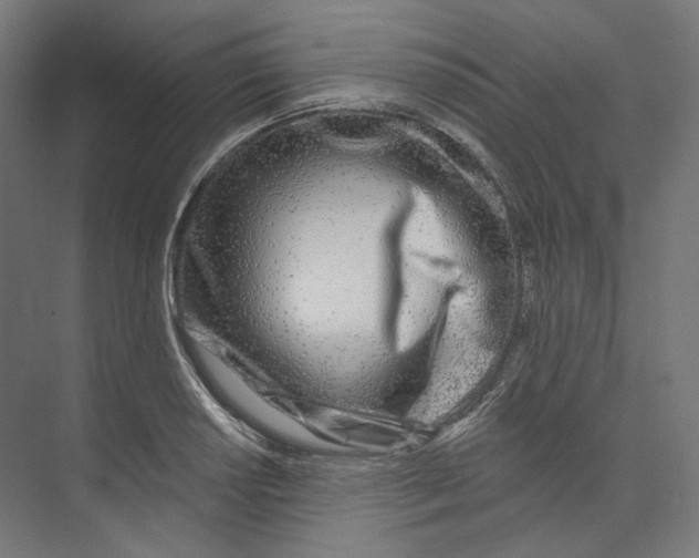 X0000073851034200609071602