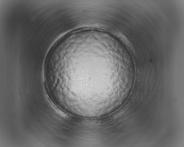 X0000073851036200609071602