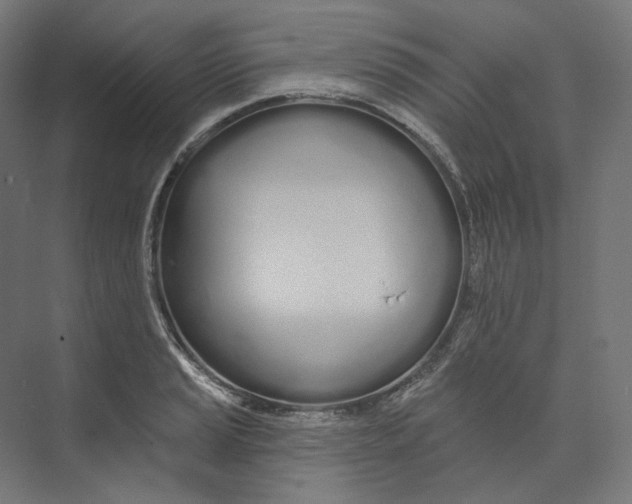 X0000073851037200609071602