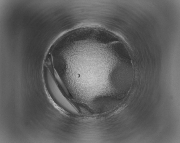 X0000073851038200609071602