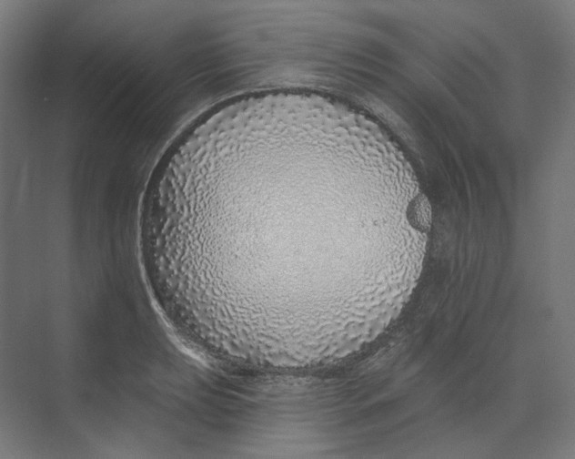 X0000073851039200609071602