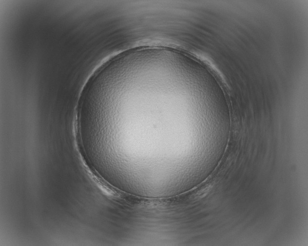 X0000073851040200609071602