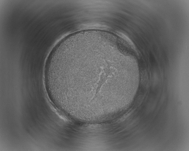 X0000073851043200609071602