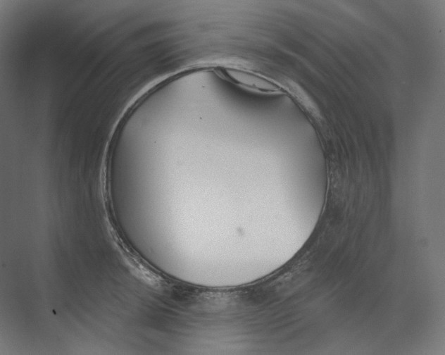 X0000073851044200609071602