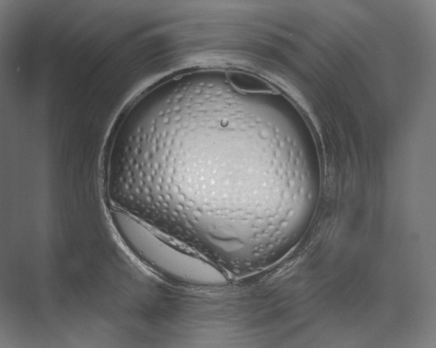 X0000073851045200609071602