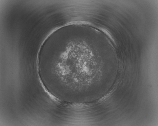 X0000073851046200609071602