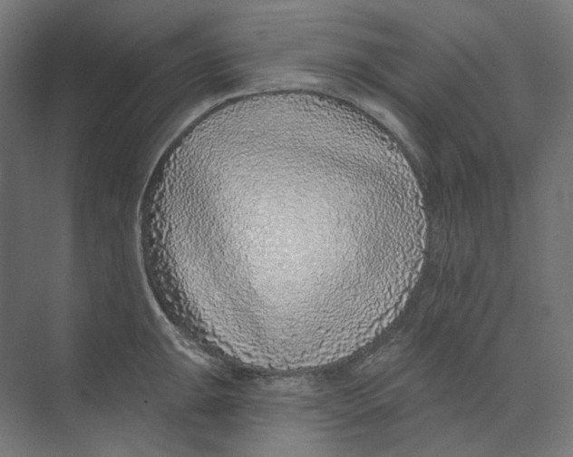 X0000073851047200609071602