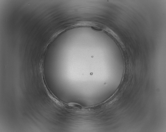 X0000073851049200609071602