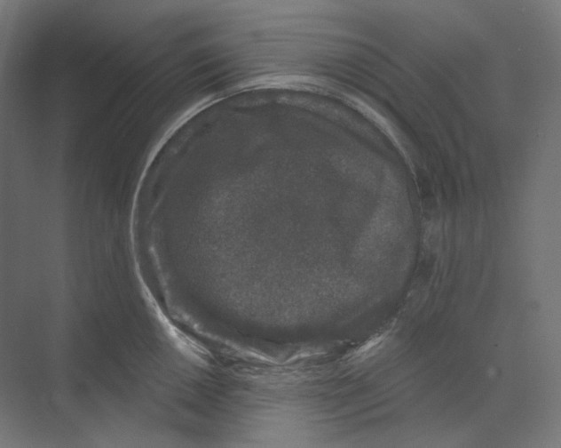 X0000073851050200609071602