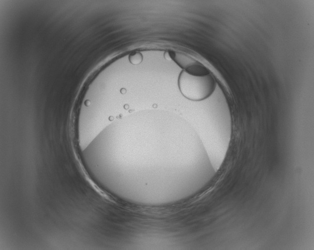 X0000073851053200609071602