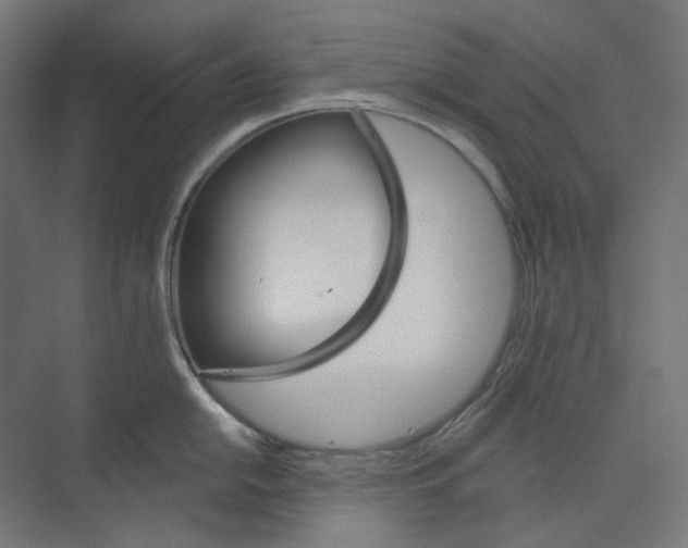 X0000073851054200609071602