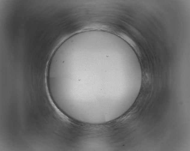 X0000073851055200609071602