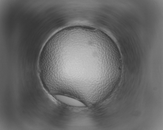 X0000073851056200609071602